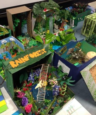 Rainforest Project – Paradise Primary School